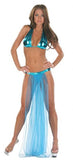Nom de Plume Belly Dancer costume from Ginger Candy lingerie